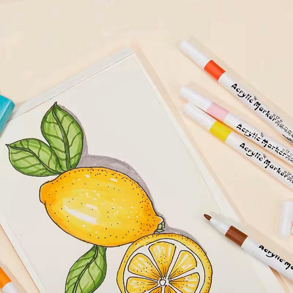 Acrylic Paint Pen Set