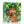 Load image into Gallery viewer, Peep Inside Lift‑Flap Books
