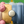 Load image into Gallery viewer, Baby Crawling Roller Toy
