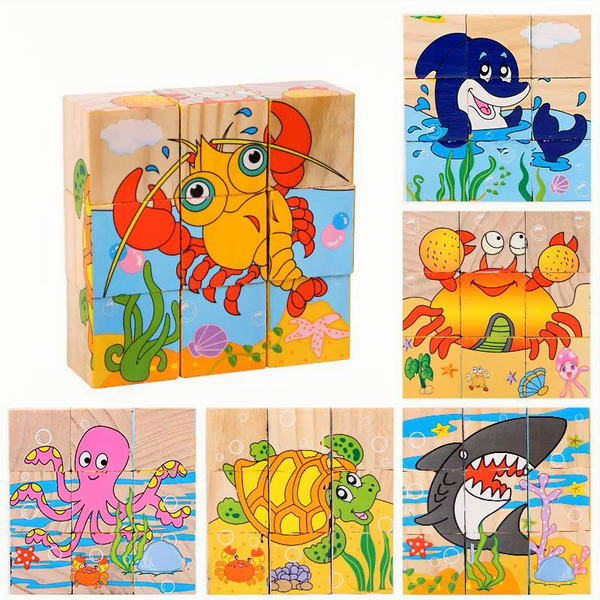 6-Sided Wooden Puzzle Blocks
