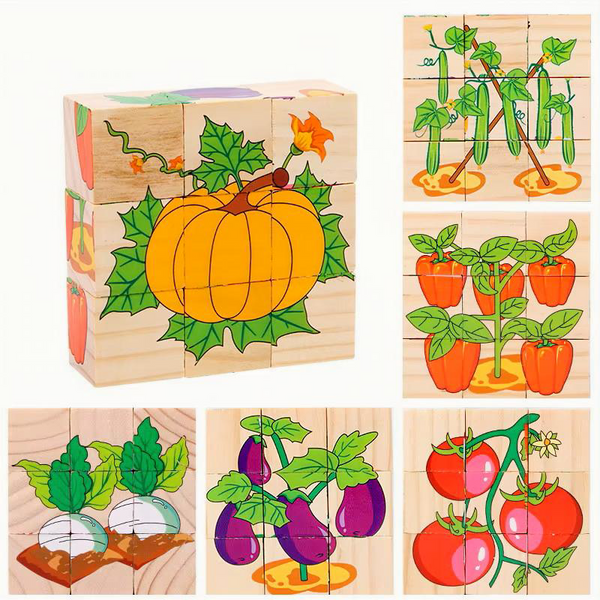 6-Sided Wooden Puzzle Blocks