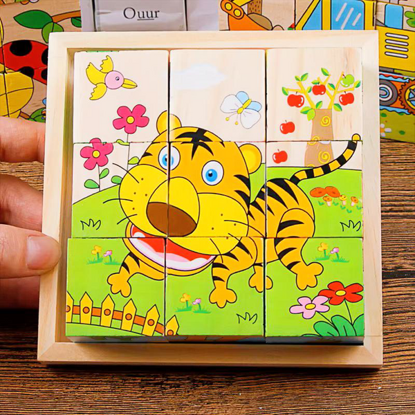 6-Sided Wooden Puzzle Blocks