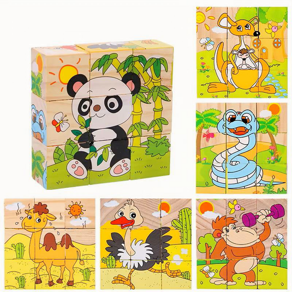 6-Sided Wooden Puzzle Blocks