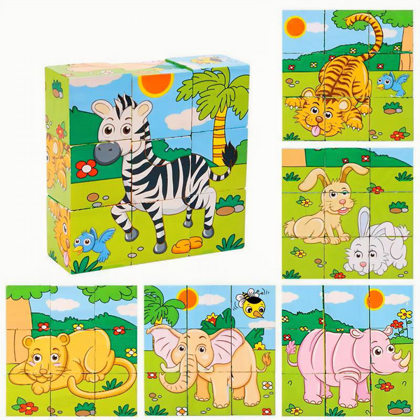 6-Sided Wooden Puzzle Blocks