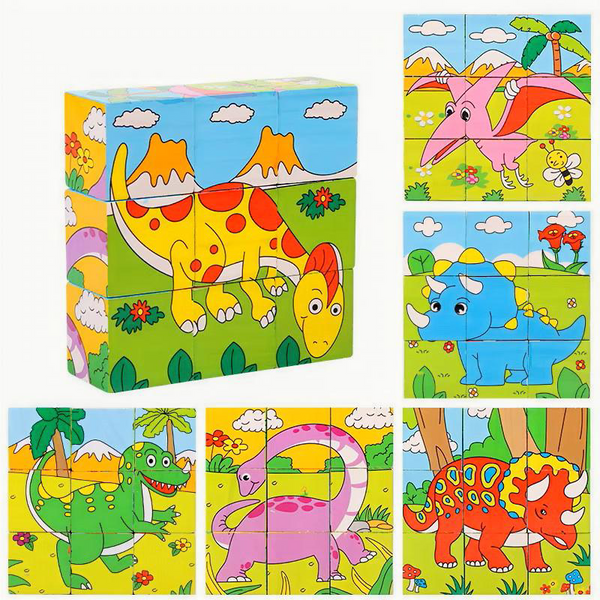 6-Sided Wooden Puzzle Blocks