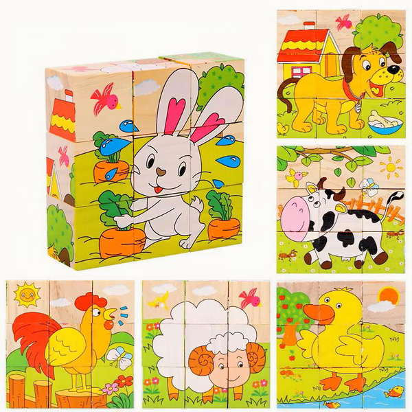 6-Sided Wooden Puzzle Blocks