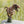 Load image into Gallery viewer, Indominus Rex Action Figure
