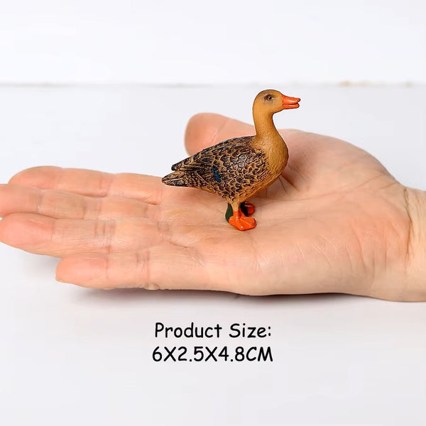 Jungle Bird Animal Figures