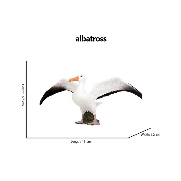 Jungle Bird Animal Figures