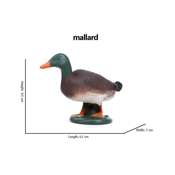 Jungle Bird Animal Figures