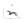Load image into Gallery viewer, Jungle Bird Animal Figures
