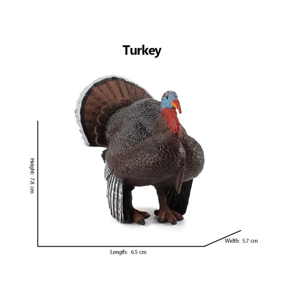 Jungle Bird Animal Figures