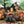 Load image into Gallery viewer, Mini Forest Animal Set
