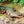 Load image into Gallery viewer, African Wild Animal Figures
