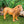 Load image into Gallery viewer, African Wild Animal Figures
