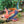 Load image into Gallery viewer, Bird Forest Animal Figures
