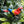 Load image into Gallery viewer, Bird Forest Animal Figures

