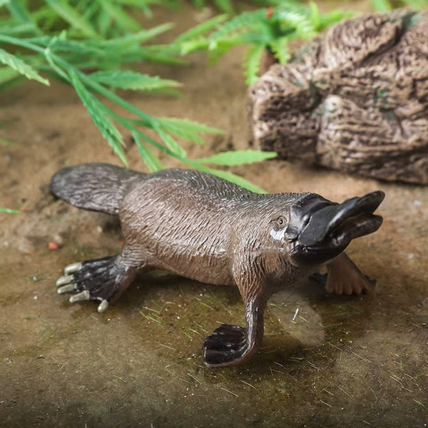 Australian Animal Figure Set