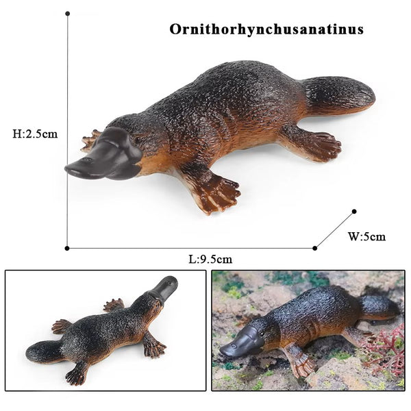 Australian Animal Figure Set