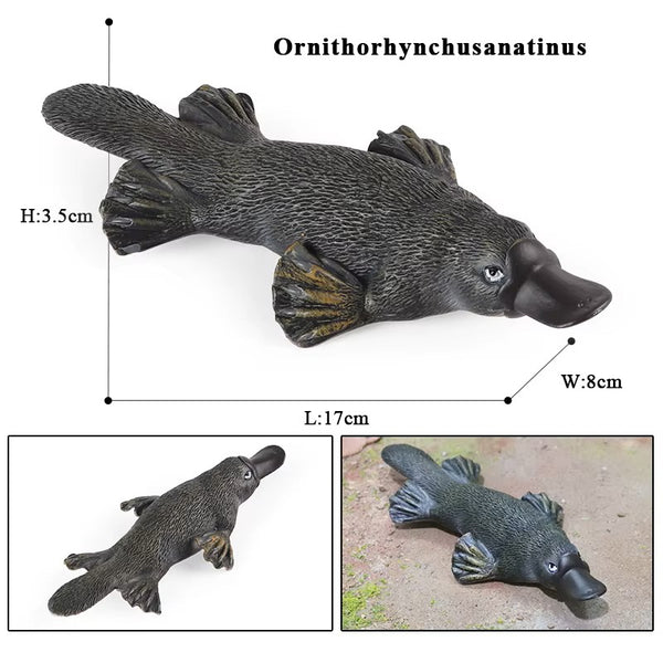 Australian Animal Figure Set