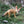 Load image into Gallery viewer, Mixed Animal Figure Set
