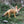 Load image into Gallery viewer, Mixed Animal Figure Set
