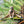 Load image into Gallery viewer, Mixed Animal Figure Set
