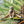 Load image into Gallery viewer, Mixed Animal Figure Set
