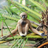 Mixed Animal Figure Set