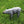 Load image into Gallery viewer, Mixed Animal Figure Set
