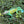 Load image into Gallery viewer, Mixed Animal Figure Set

