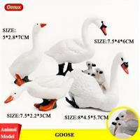 Farm House Animal Set