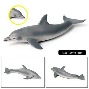 Sea Life Animal Figures