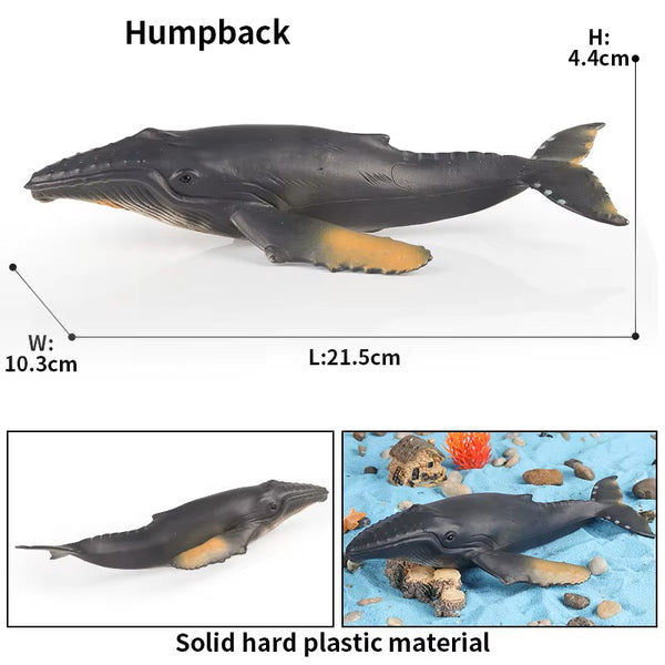 Sea Life Animal Figures