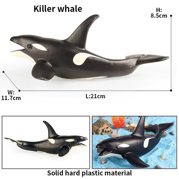 Sea Life Animal Figures
