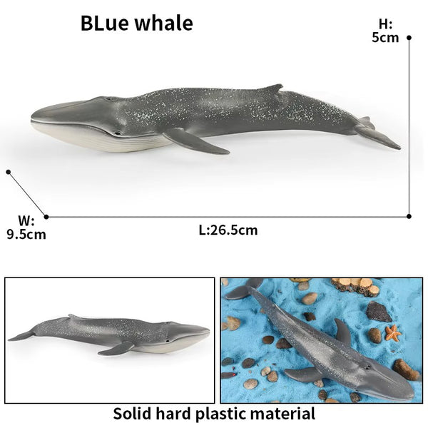 Sea Life Animal Figures
