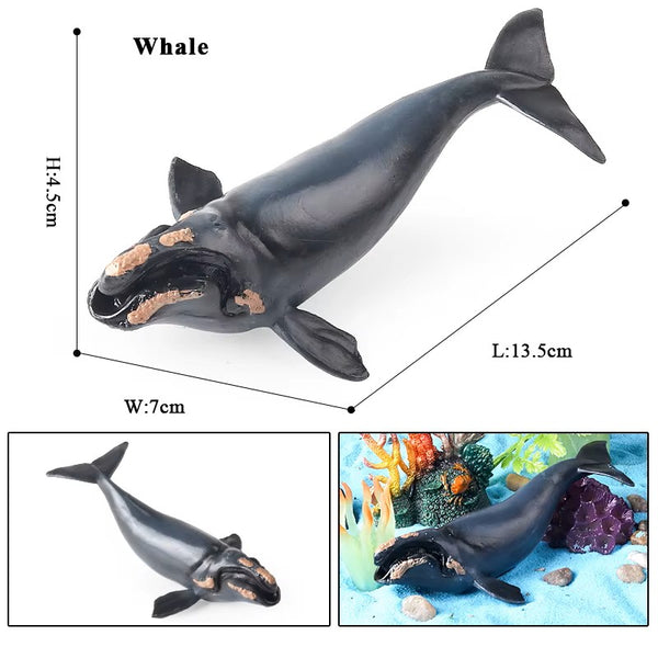 Sea Life Animal Figures