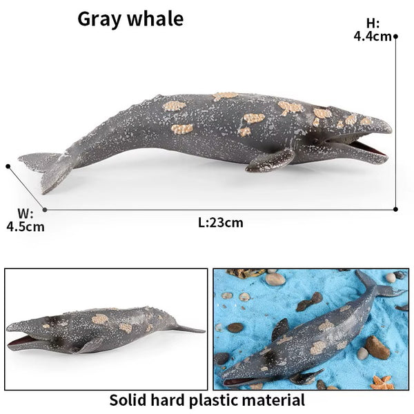 Sea Life Animal Figures
