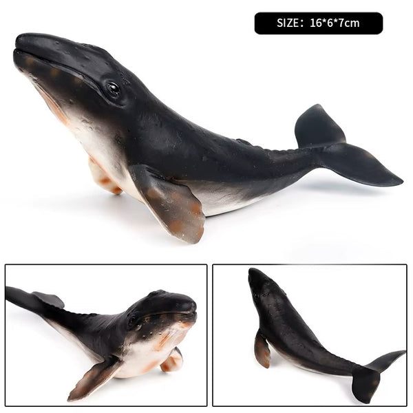 Sea Life Animal Figures