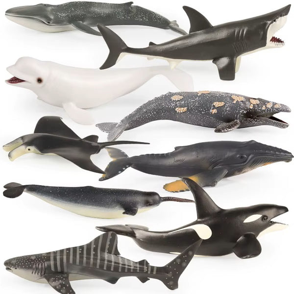 Sea Life Animal Figures