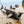 Load image into Gallery viewer, Sea Life Animal Figures
