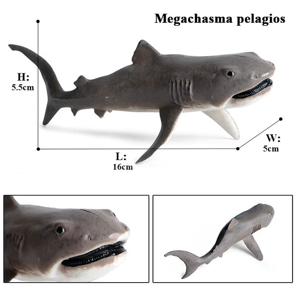 Sea Life Animal Figures