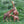Load image into Gallery viewer, Wild Giraffe Animal Figure
