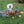 Load image into Gallery viewer, Mini Farm Animal Set
