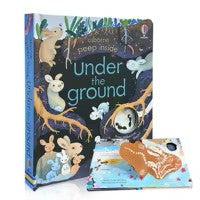 Peep Inside Lift‑Flap Books