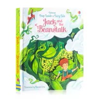 Peep Inside Lift‑Flap Books