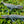 Load image into Gallery viewer, Prehistoric Dinosaur Figures
