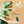 Load image into Gallery viewer, Automatic Dinosaur Race Toy
