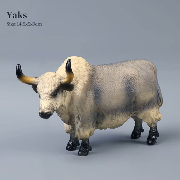 Farm Animal Models