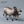 Load image into Gallery viewer, Farm Animal Models
